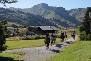 retour grande ourse